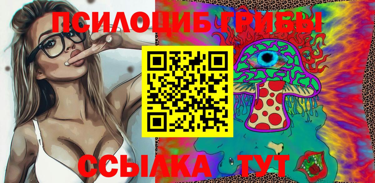 Псилоцибиновые грибы GOLDEN TEACHER  Вход с VPN  Протвино  Галлюциногенные грибы ЛСД 