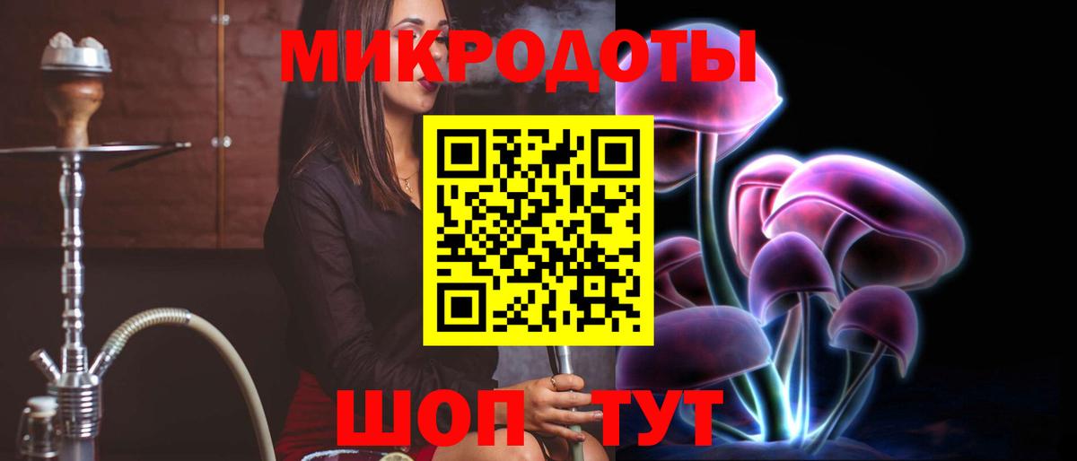 Псилоцибиновые грибы Psilocybe Протвино